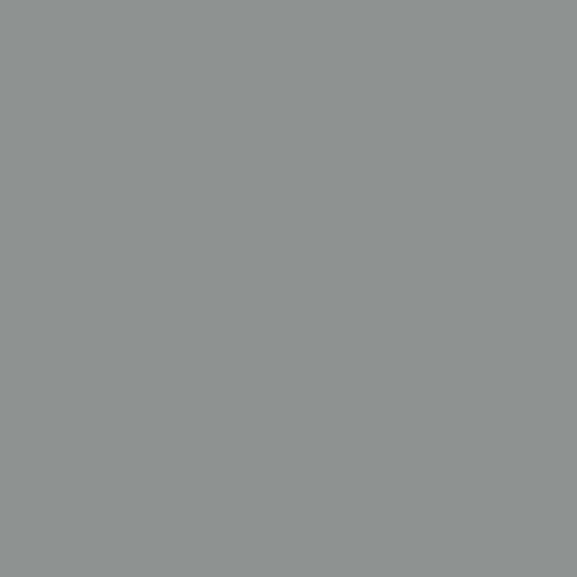 X COLORE ACRILICO RAL 7042