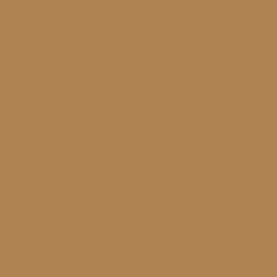 X  COLORE ACRILICO RAL 1011